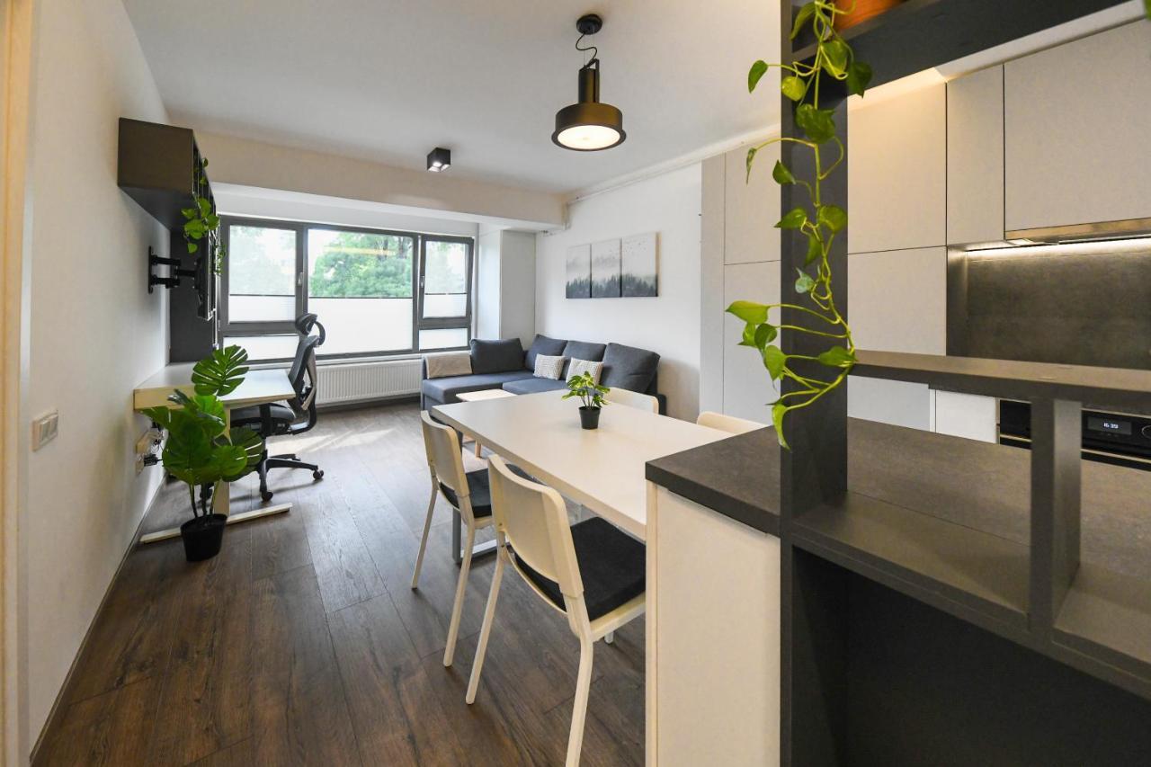 Modern Apartment In A Quiet Area Cluj-Napoca Eksteriør billede